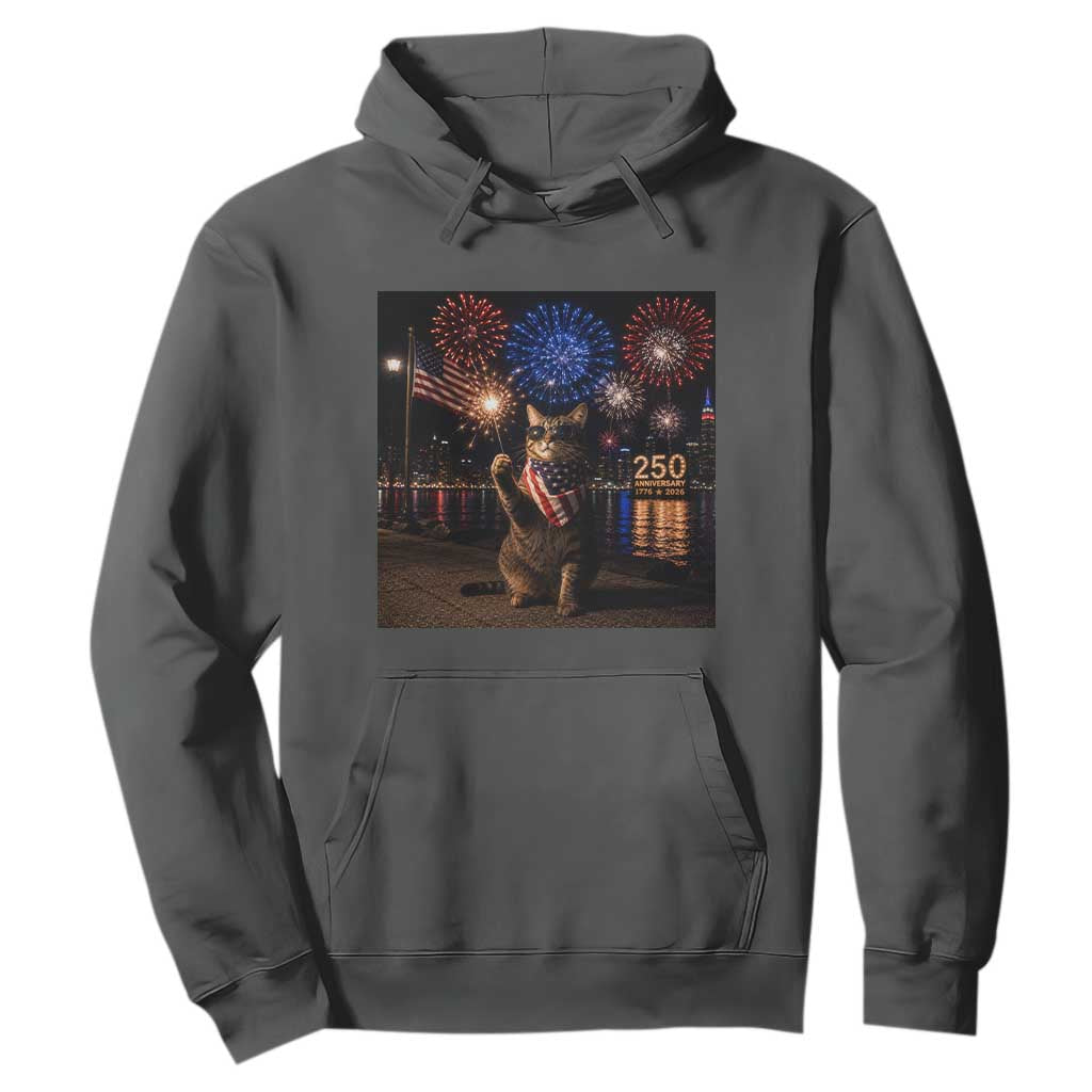 USA 250th Anniversary Cat Hoodie Funny 4th Of July Independence Day 250 Years 1776 2026 Patriotic Celebration Meme
