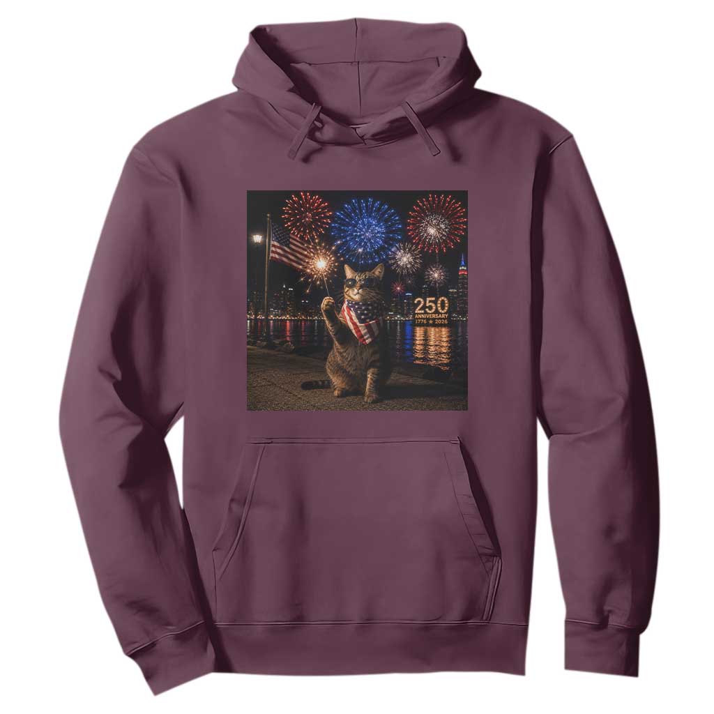 USA 250th Anniversary Cat Hoodie Funny 4th Of July Independence Day 250 Years 1776 2026 Patriotic Celebration Meme