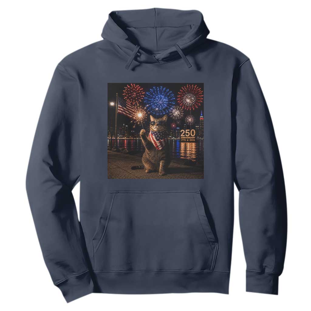 USA 250th Anniversary Cat Hoodie Funny 4th Of July Independence Day 250 Years 1776 2026 Patriotic Celebration Meme