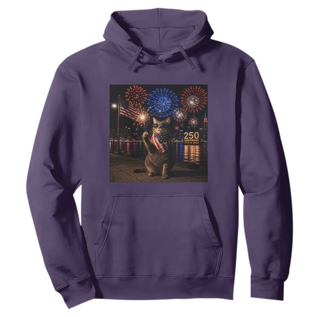 USA 250th Anniversary Cat Hoodie Funny 4th Of July Independence Day 250 Years 1776 2026 Patriotic Celebration Meme