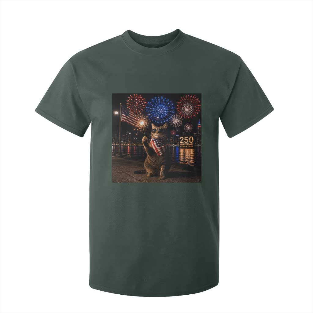 USA 250th Anniversary Cat T Shirt For Kid Funny 4th Of July Independence Day 250 Years 1776 2026 Patriotic Celebration Meme