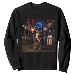 USA 250th Anniversary Cat Sweatshirt Funny 4th Of July Independence Day 250 Years 1776 2026 Patriotic Celebration Meme