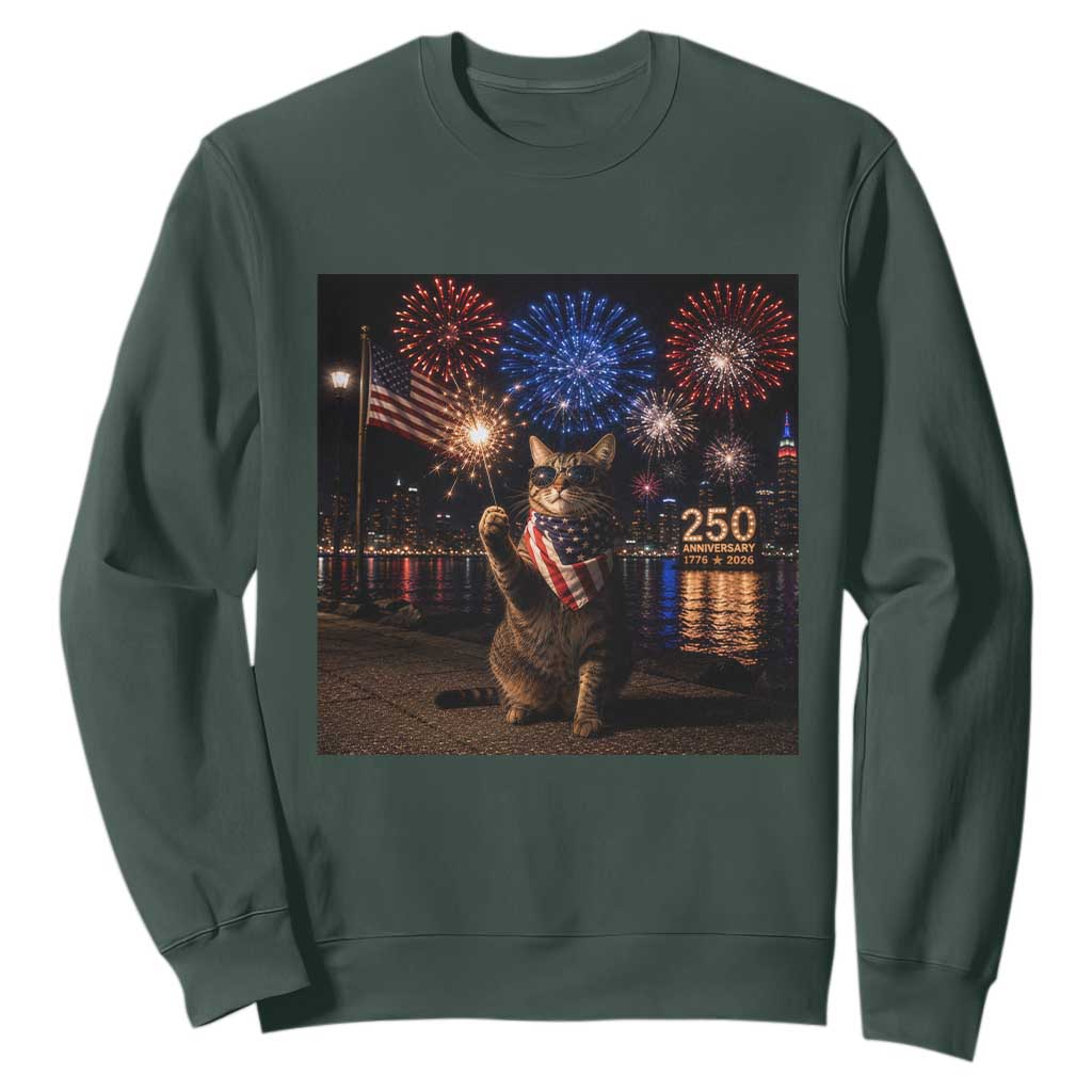 USA 250th Anniversary Cat Sweatshirt Funny 4th Of July Independence Day 250 Years 1776 2026 Patriotic Celebration Meme