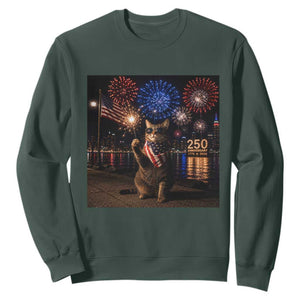 USA 250th Anniversary Cat Sweatshirt Funny 4th Of July Independence Day 250 Years 1776 2026 Patriotic Celebration Meme