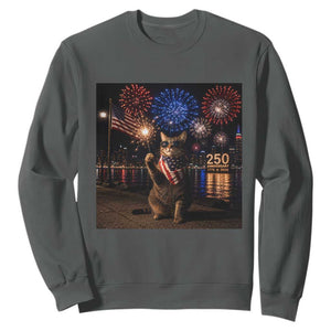 USA 250th Anniversary Cat Sweatshirt Funny 4th Of July Independence Day 250 Years 1776 2026 Patriotic Celebration Meme