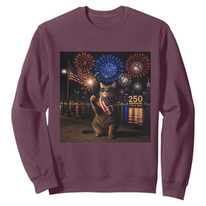 USA 250th Anniversary Cat Sweatshirt Funny 4th Of July Independence Day 250 Years 1776 2026 Patriotic Celebration Meme