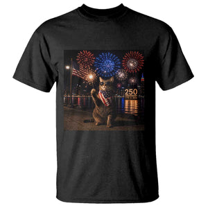 USA 250th Anniversary Cat T Shirt Funny 4th Of July Independence Day 250 Years 1776 2026 Patriotic Celebration Meme