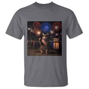 USA 250th Anniversary Cat T Shirt Funny 4th Of July Independence Day 250 Years 1776 2026 Patriotic Celebration Meme