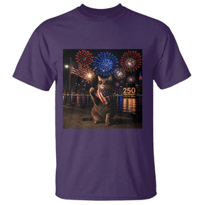 USA 250th Anniversary Cat T Shirt Funny 4th Of July Independence Day 250 Years 1776 2026 Patriotic Celebration Meme