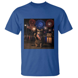 USA 250th Anniversary Cat T Shirt Funny 4th Of July Independence Day 250 Years 1776 2026 Patriotic Celebration Meme
