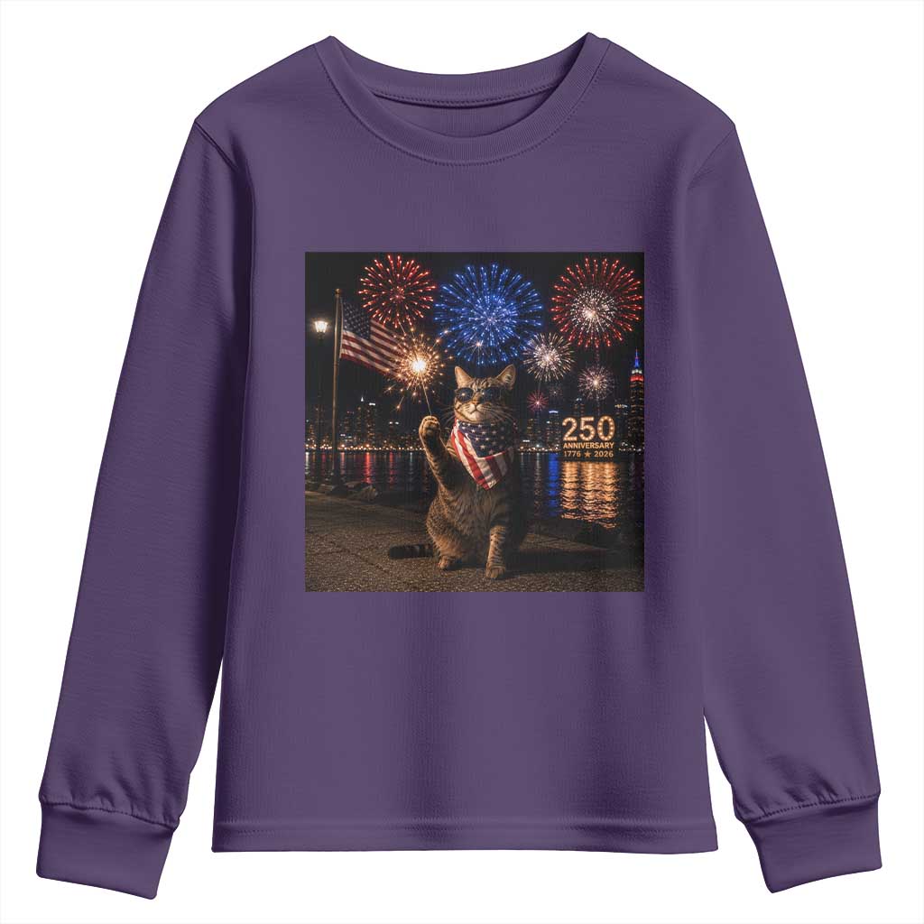 USA 250th Anniversary Cat Youth Sweatshirt Funny 4th Of July Independence Day 250 Years 1776 2026 Patriotic Celebration Meme