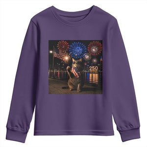 USA 250th Anniversary Cat Youth Sweatshirt Funny 4th Of July Independence Day 250 Years 1776 2026 Patriotic Celebration Meme