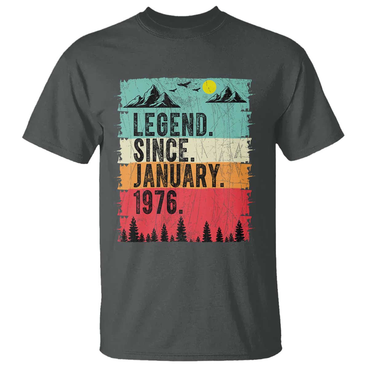 Vintage 1976 Birthday T Shirt Retro 50th Birthday Gifts 50 Years Old TS10 Dark Heather Print Your Wear