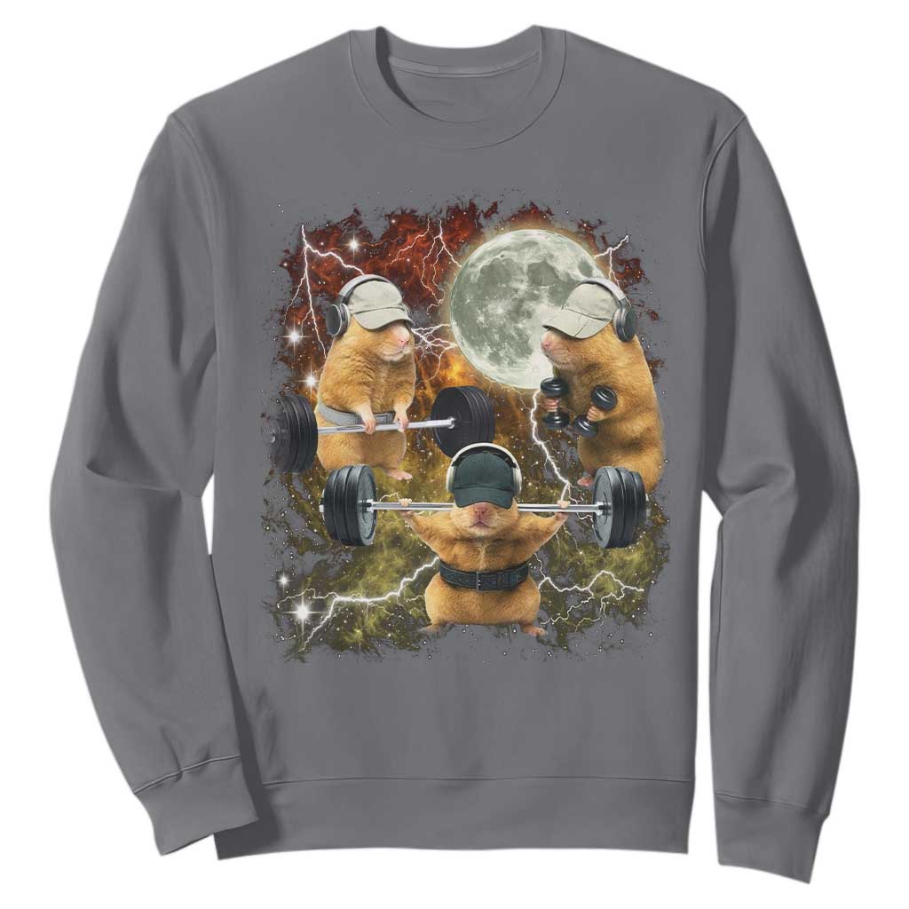 Hamster Deadlift Sweatshirt Funny Cute Rat Fitness Gym Weightlifting Meme TS10 Charcoal Print Your Wear