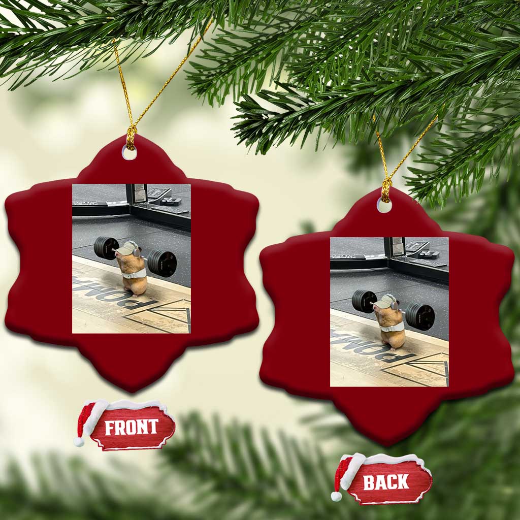 Hamster Gym Ceramic Ornament Funny Rat Workout Weightlifting Pump Cover TS10 Print Your Wear