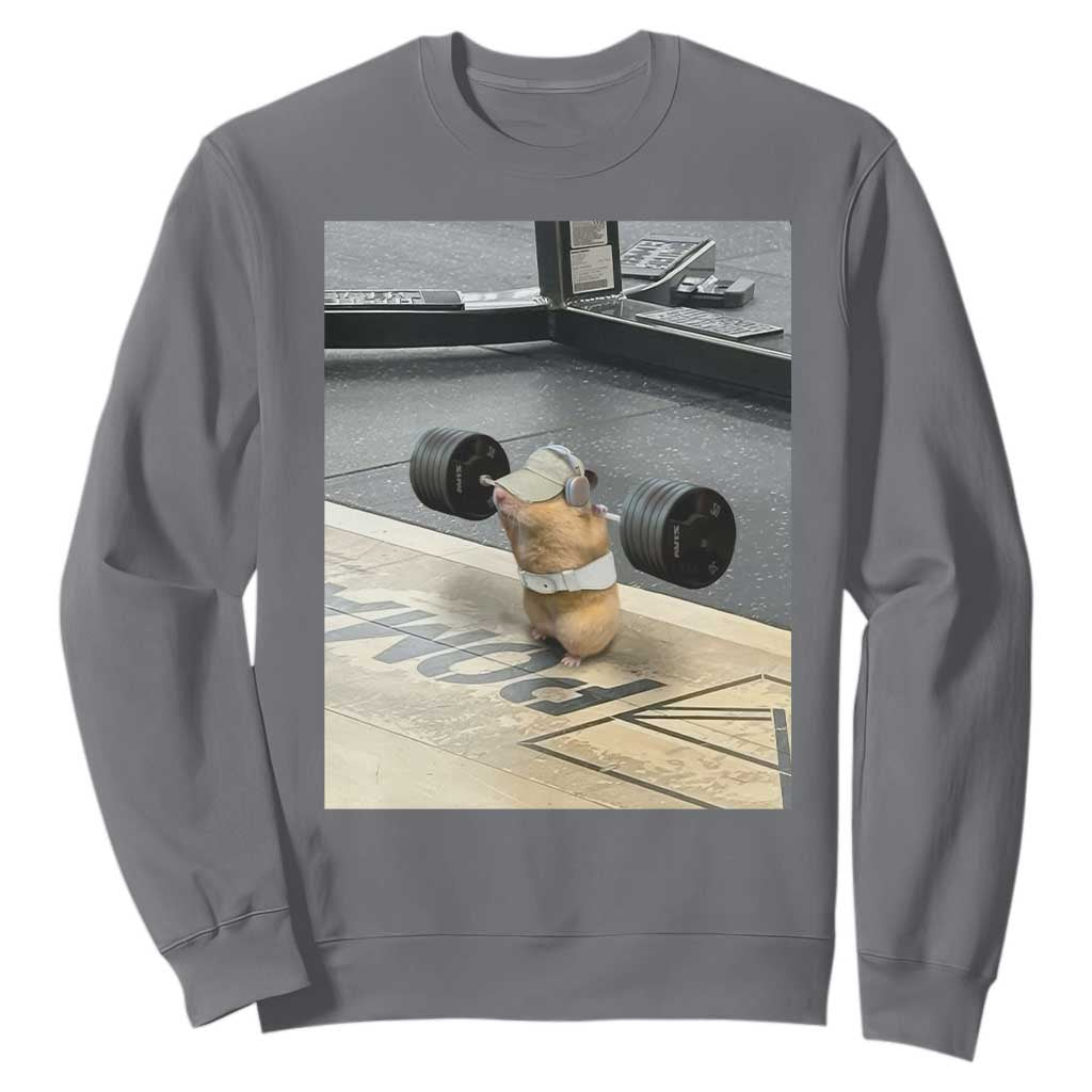 Hamster Gym Sweatshirt Funny Rat Workout Weightlifting Pump Cover TS10 Charcoal Print Your Wear