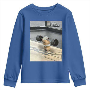 Hamster Gym Youth Sweatshirt Funny Rat Workout Weightlifting Pump Cover TS10 Royal Blue Print Your Wear