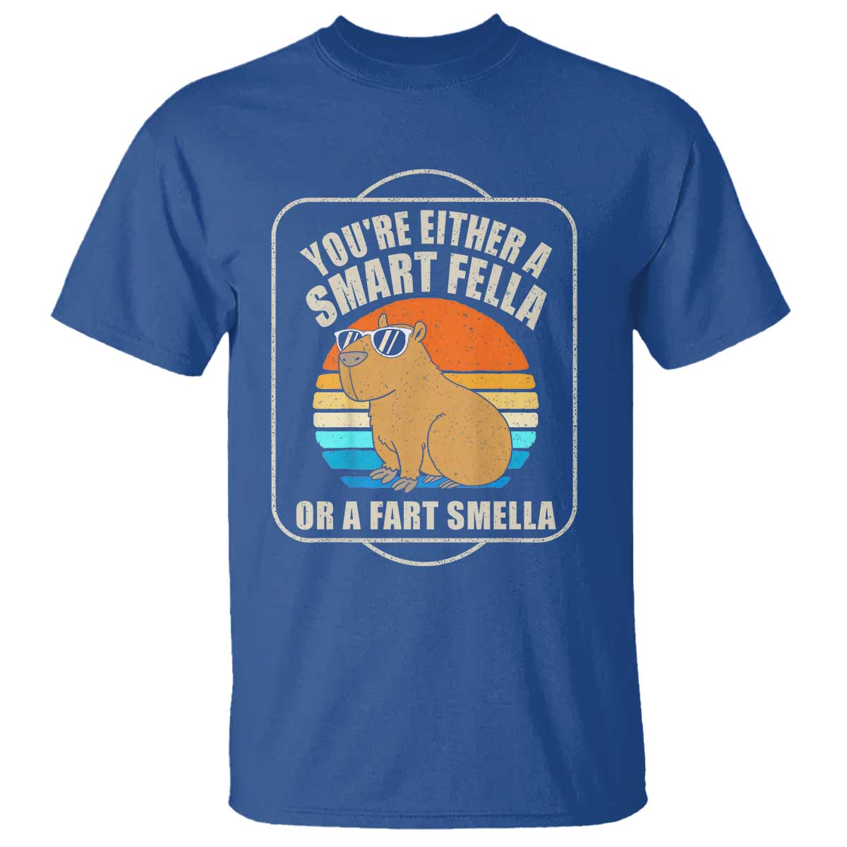 Funny Capybara T Shirt Vintage Retro Rodent Dont Be Worry Be Capy TS10 Royal Blue Print Your Wear