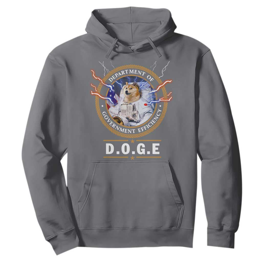 DOGE Department of Government Efficiency Hoodie Crypto Meme TS10 Charcoal Print Your Wear