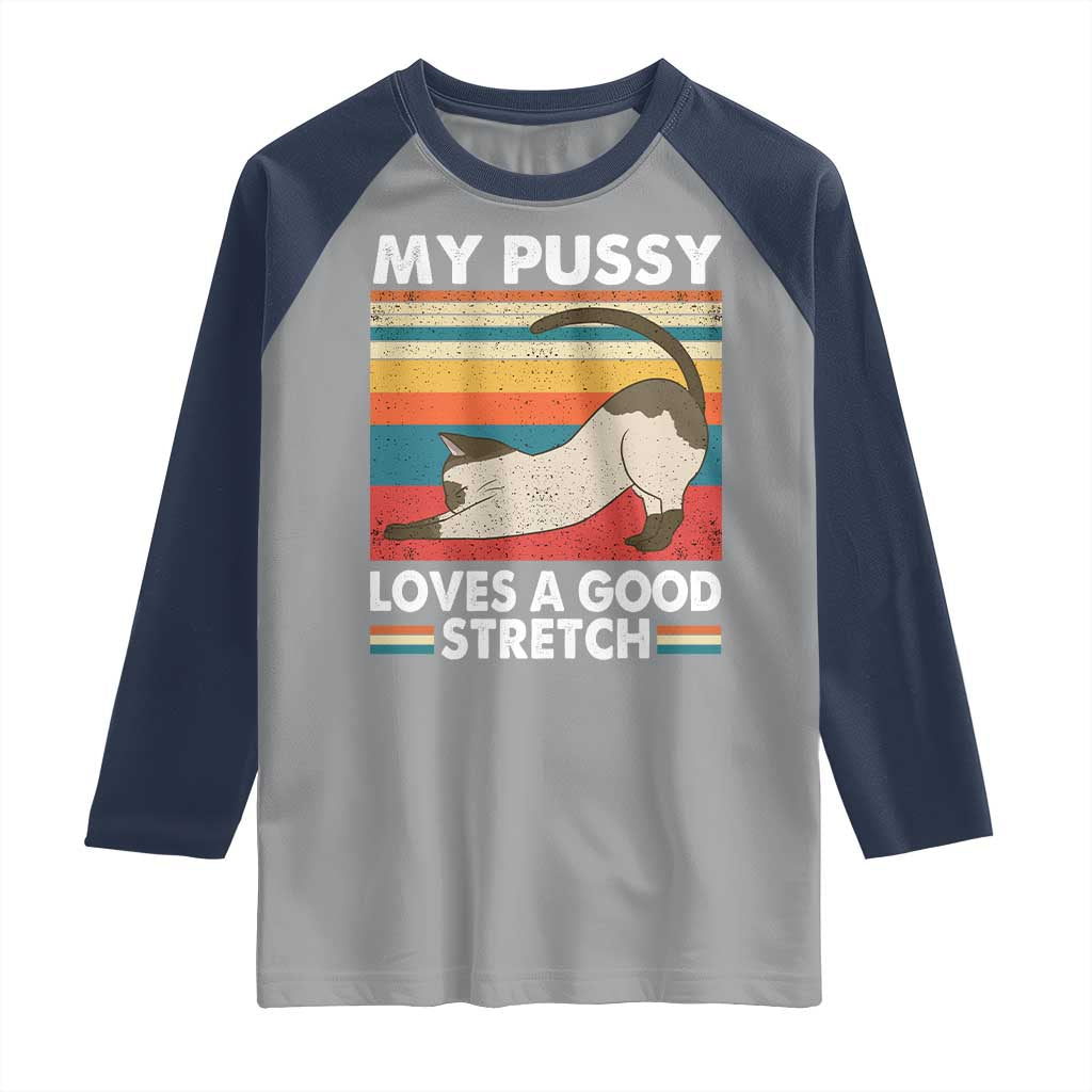My Pussy Loves A Good Stretch Raglan Shirt Funny Humor Saying Cat Vintage TS10 Sport Gray Navy Print Your Wear
