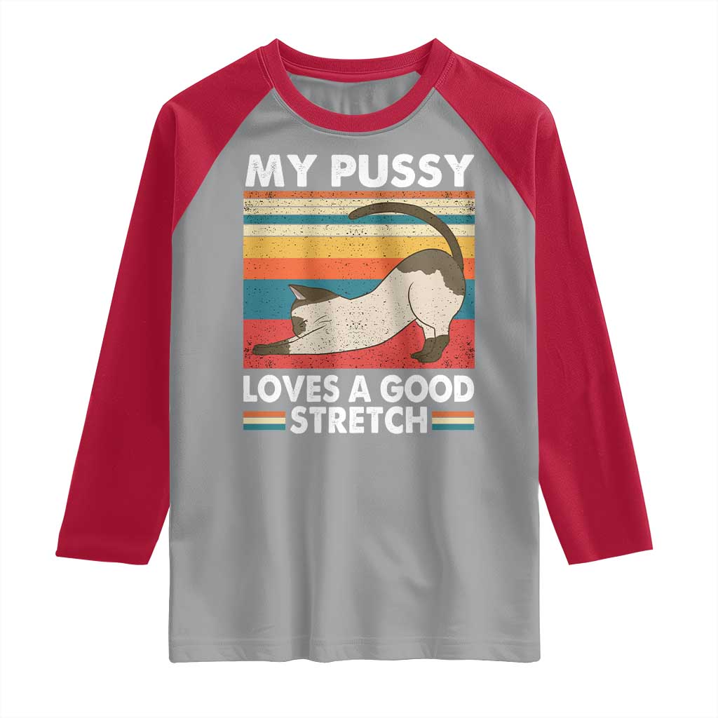 My Pussy Loves A Good Stretch Raglan Shirt Funny Humor Saying Cat Vintage TS10 Sport Gray Red Print Your Wear