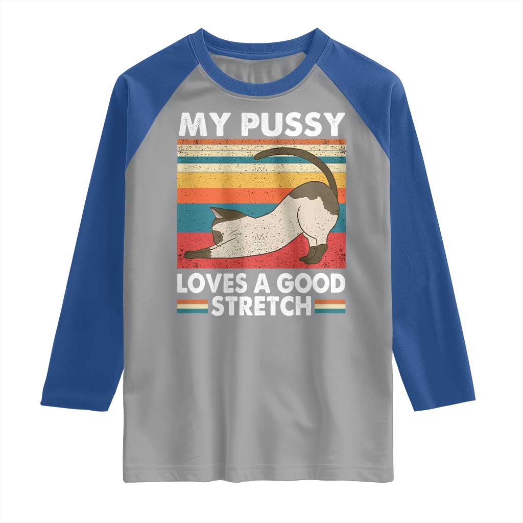 My Pussy Loves A Good Stretch Raglan Shirt Funny Humor Saying Cat Vintage TS10 Sport Gray Royal Print Your Wear