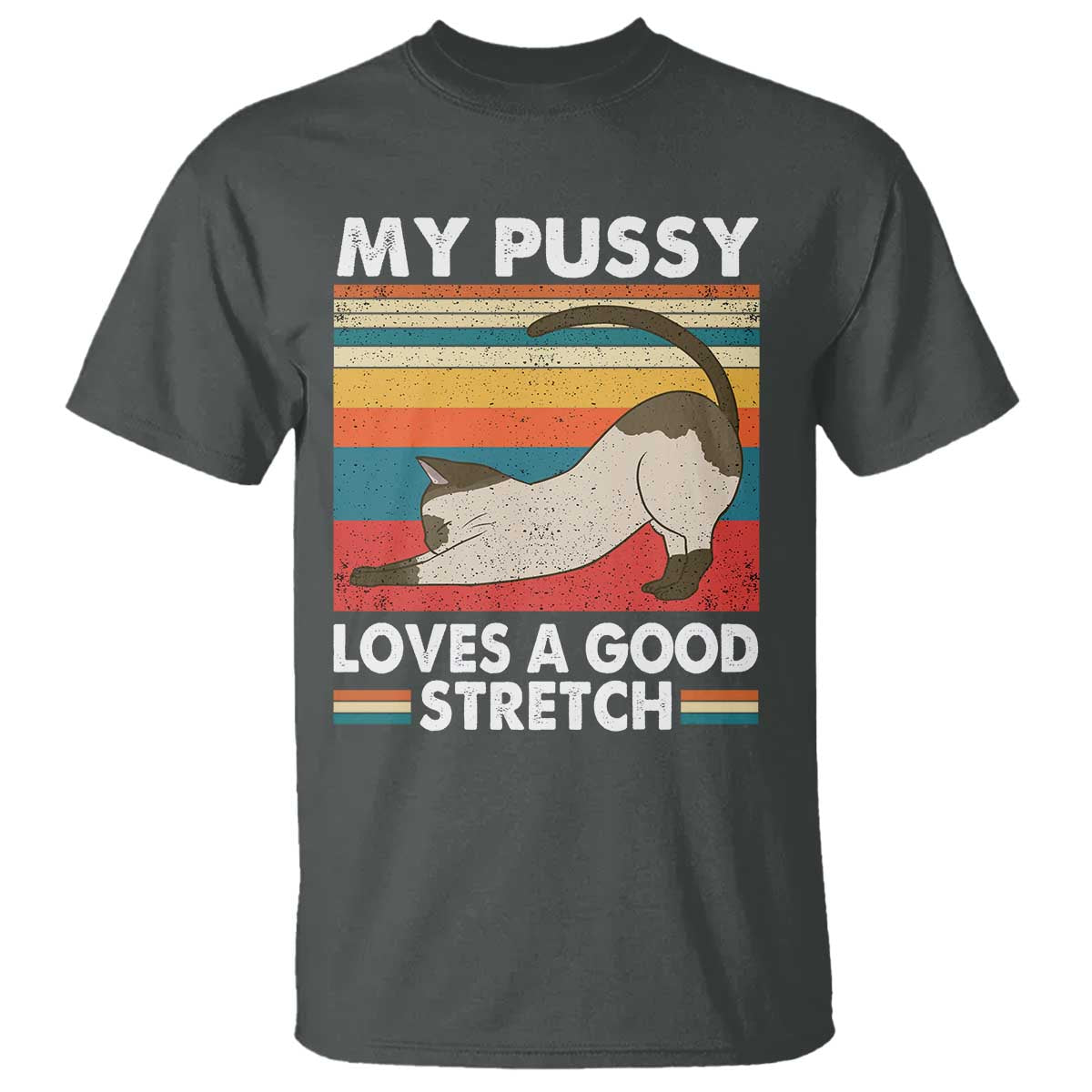 My Pussy Loves A Good Stretch T Shirt Funny Humor Saying Cat Vintage TS10 Dark Heather Print Your Wear