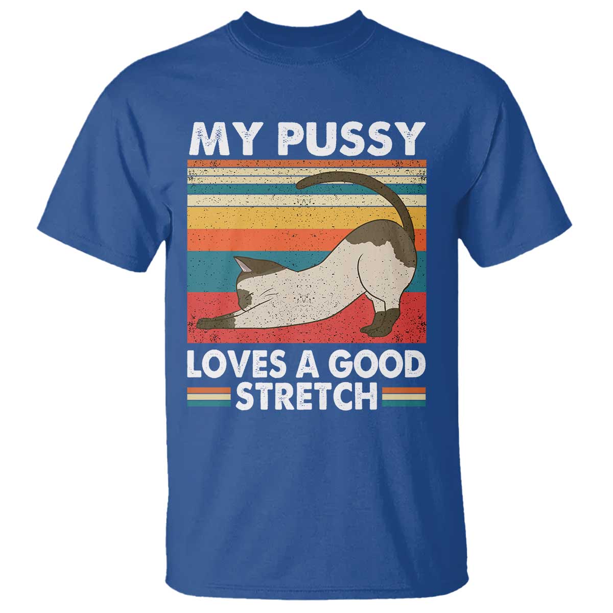 My Pussy Loves A Good Stretch T Shirt Funny Humor Saying Cat Vintage TS10 Royal Blue Print Your Wear