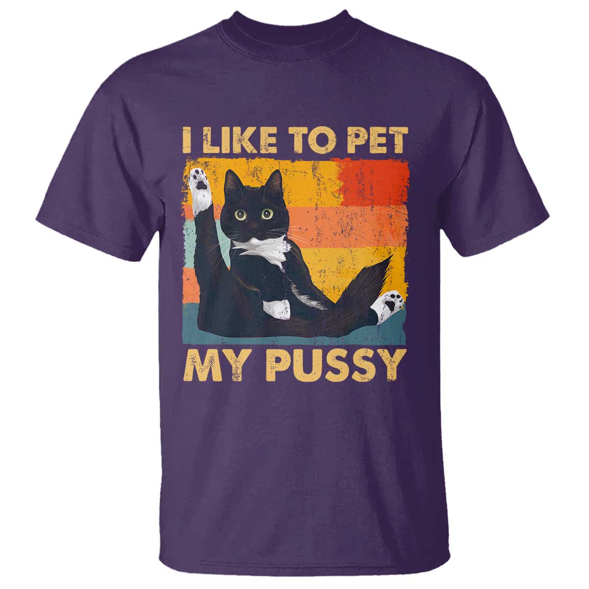Funny Humor Saying Cat T Shirt I Like To Pet My Pussy Naughty Vintage TS10 Purple Print Your Wear