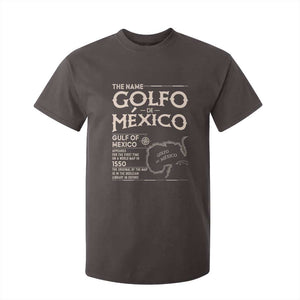 Gulf Of Mexico T Shirt For Kid 1672 Historic Map Coast Mexico Lover TS10 Dark Chocolate Print Your Wear