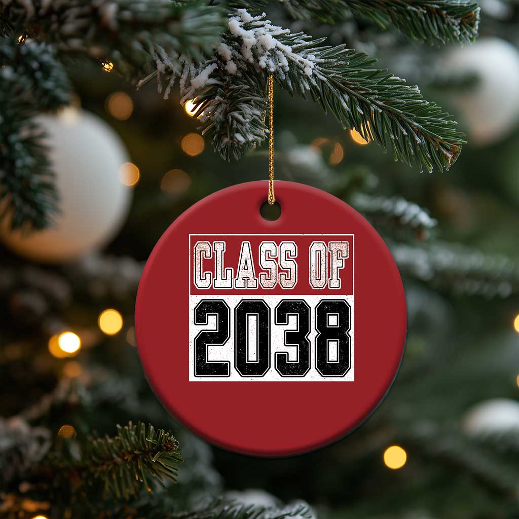 Class of 2038 Christmas Ornament Grow With Me To Graduation TS10 Print Your Wear
