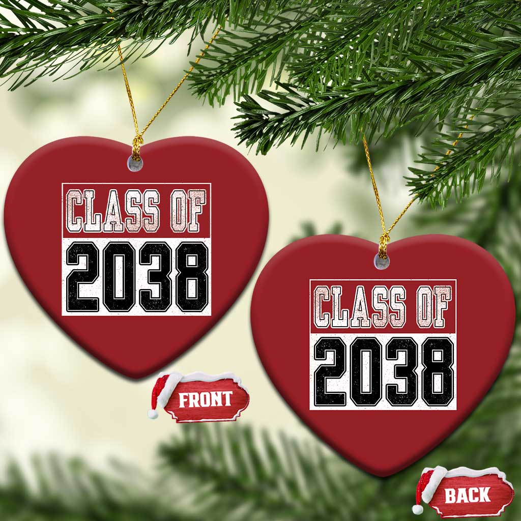 Class of 2038 Christmas Ornament Grow With Me To Graduation TS10 Heart Red Print Your Wear