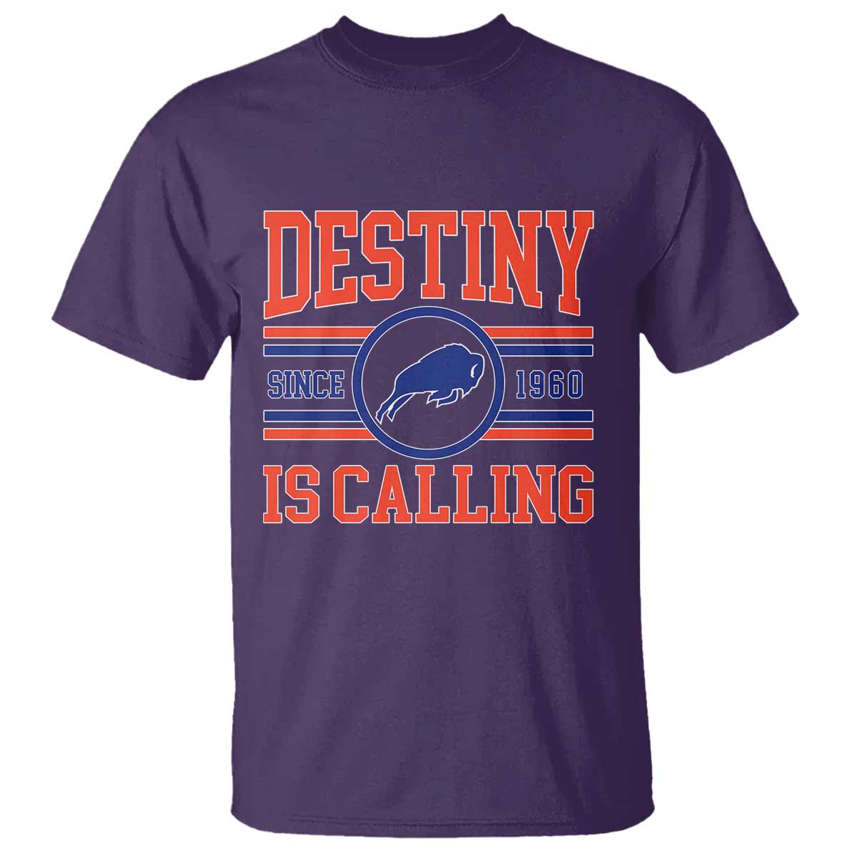 BFB Football T Shirt Funny Vintage 90s TS10 Purple Print Your Wear