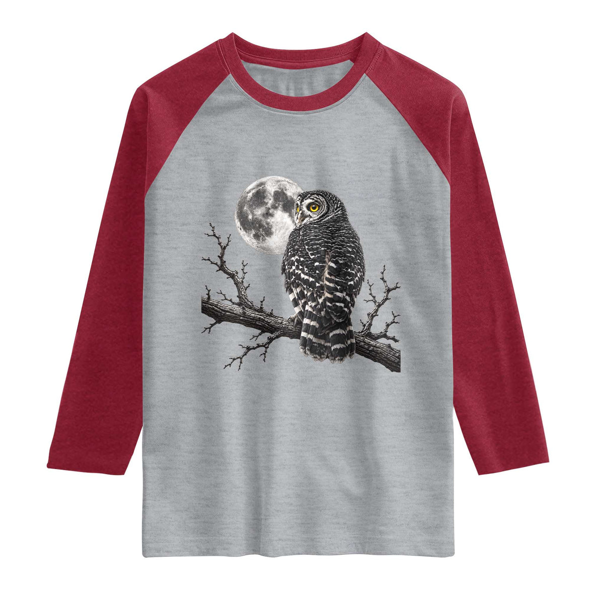 Owl Full Moon Graphic Raglan Shirt Vintage Dark Academia Bird