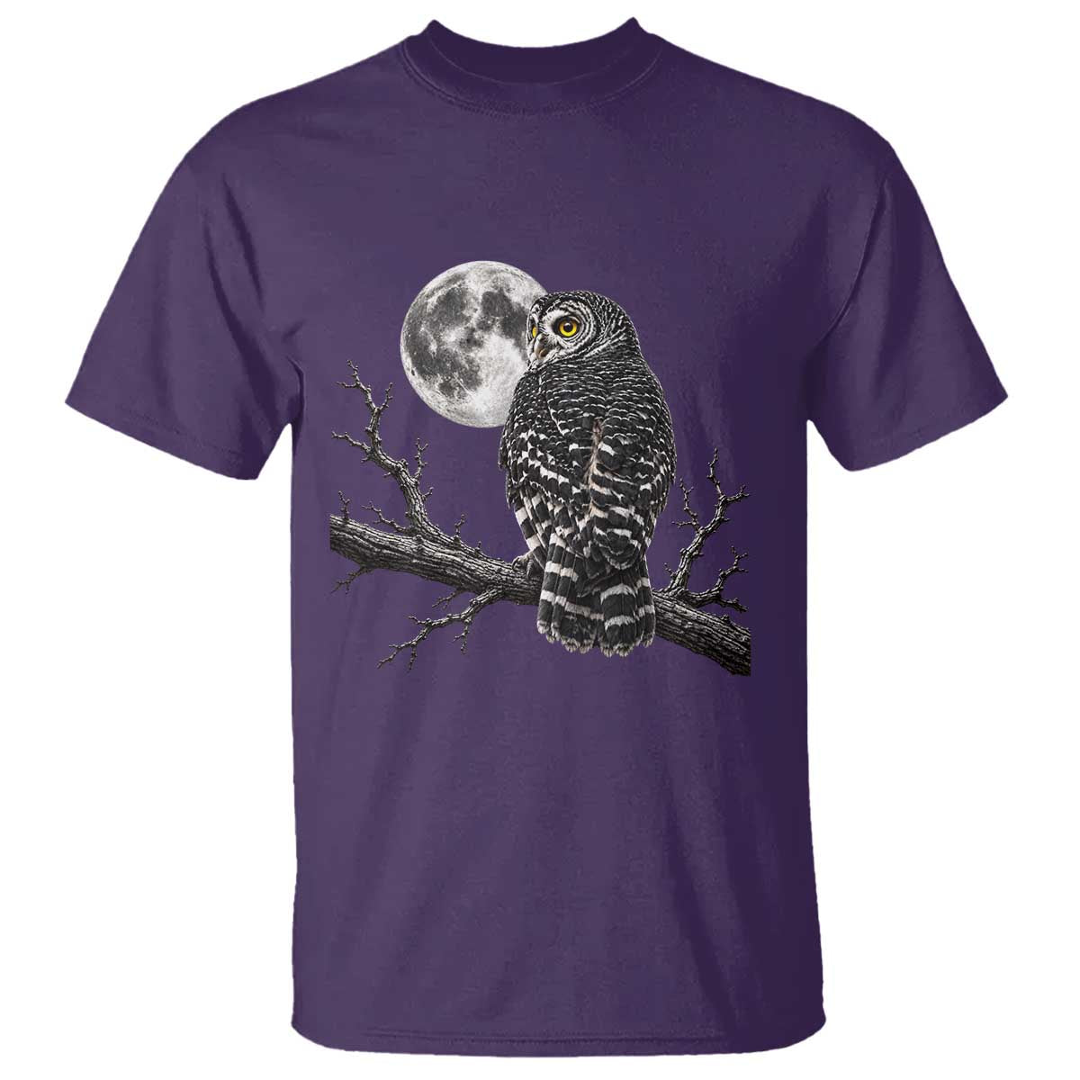 Owl Full Moon Graphic T Shirt Vintage Dark Academia Bird