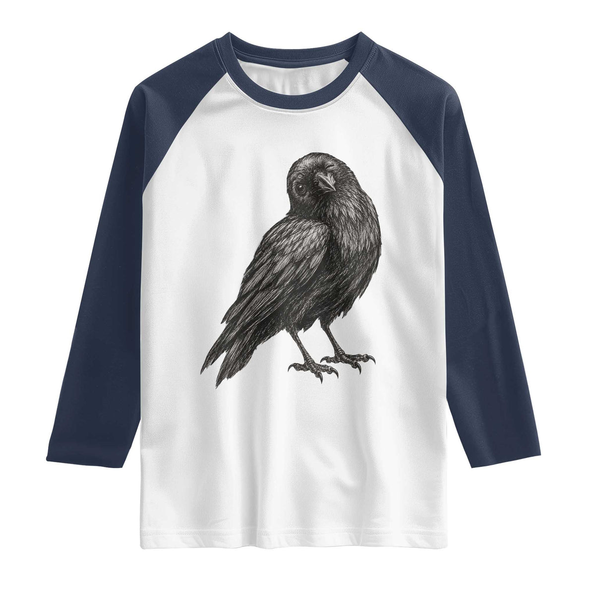 Winking Raven Crow Raglan Shirt Vintage Dark Academia Funny Bird Graphic