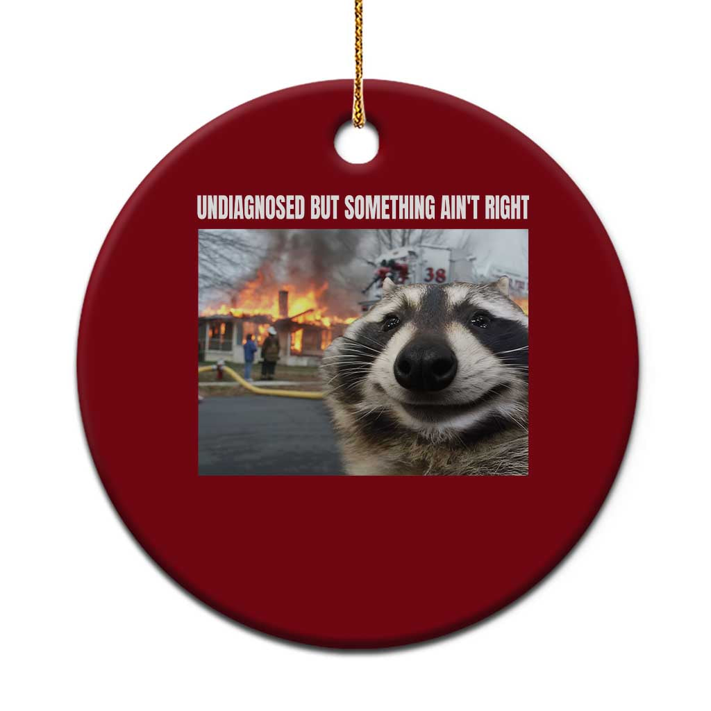 Raccoon Meme Ceramic Ornament Undiagnosed But Something Aint Right TS10 1pc Red Print Your Wear