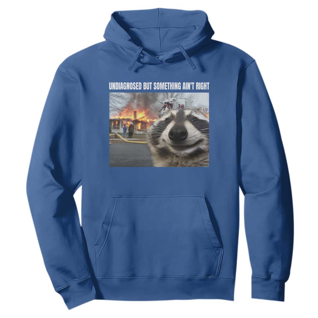 Raccoon Meme Hoodie Undiagnosed But Something Aint Right TS10 Royal Blue Print Your Wear