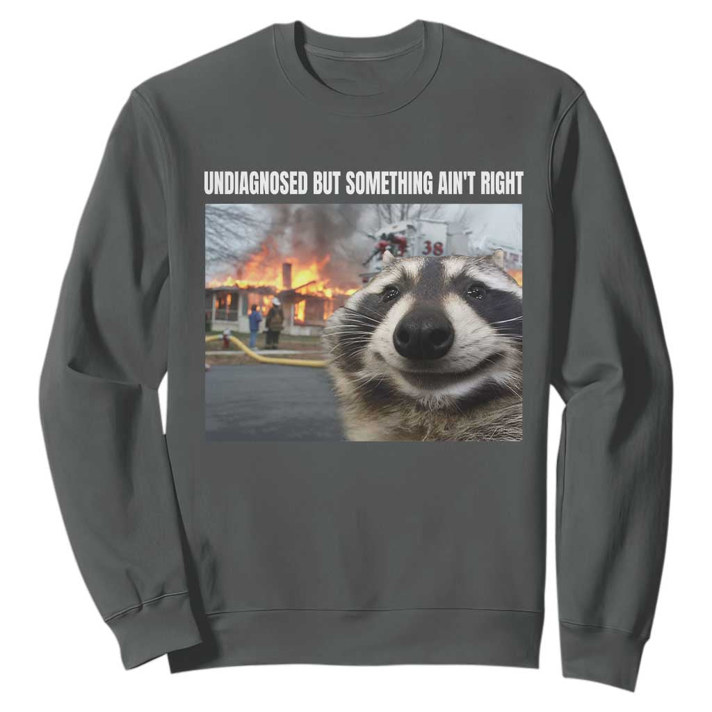 Raccoon Meme Sweatshirt Undiagnosed But Something Aint Right TS10 Dark Heather Print Your Wear