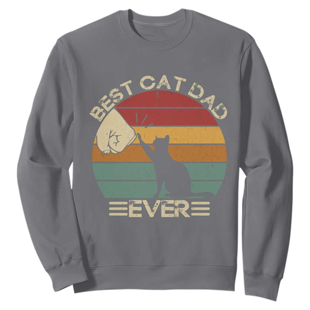 Best Cat Dad Ever Sweatshirt Funny Cat Lover Gift Fathers Day TS10 Charcoal Print Your Wear