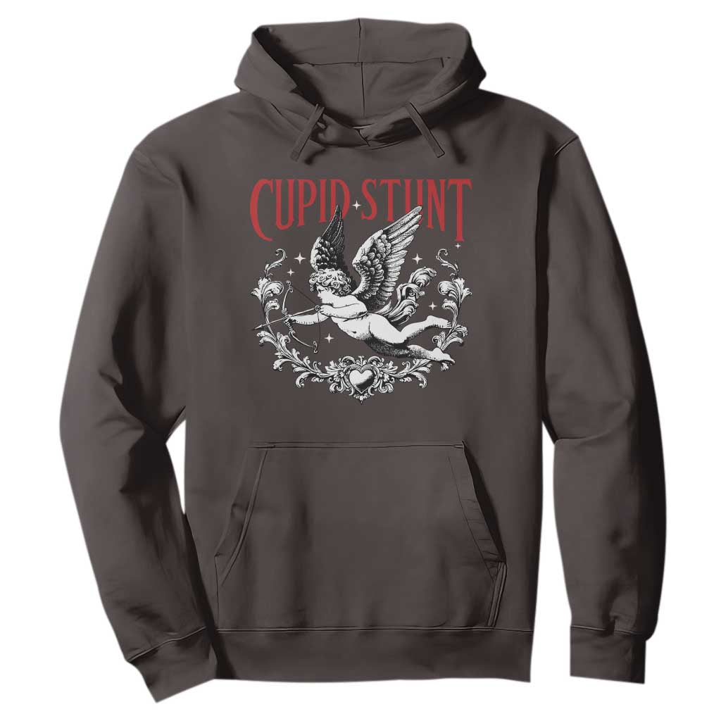 Valentines Party Retro Cupid Stunt Hoodie TS10 Dark Chocolate Print Your Wear