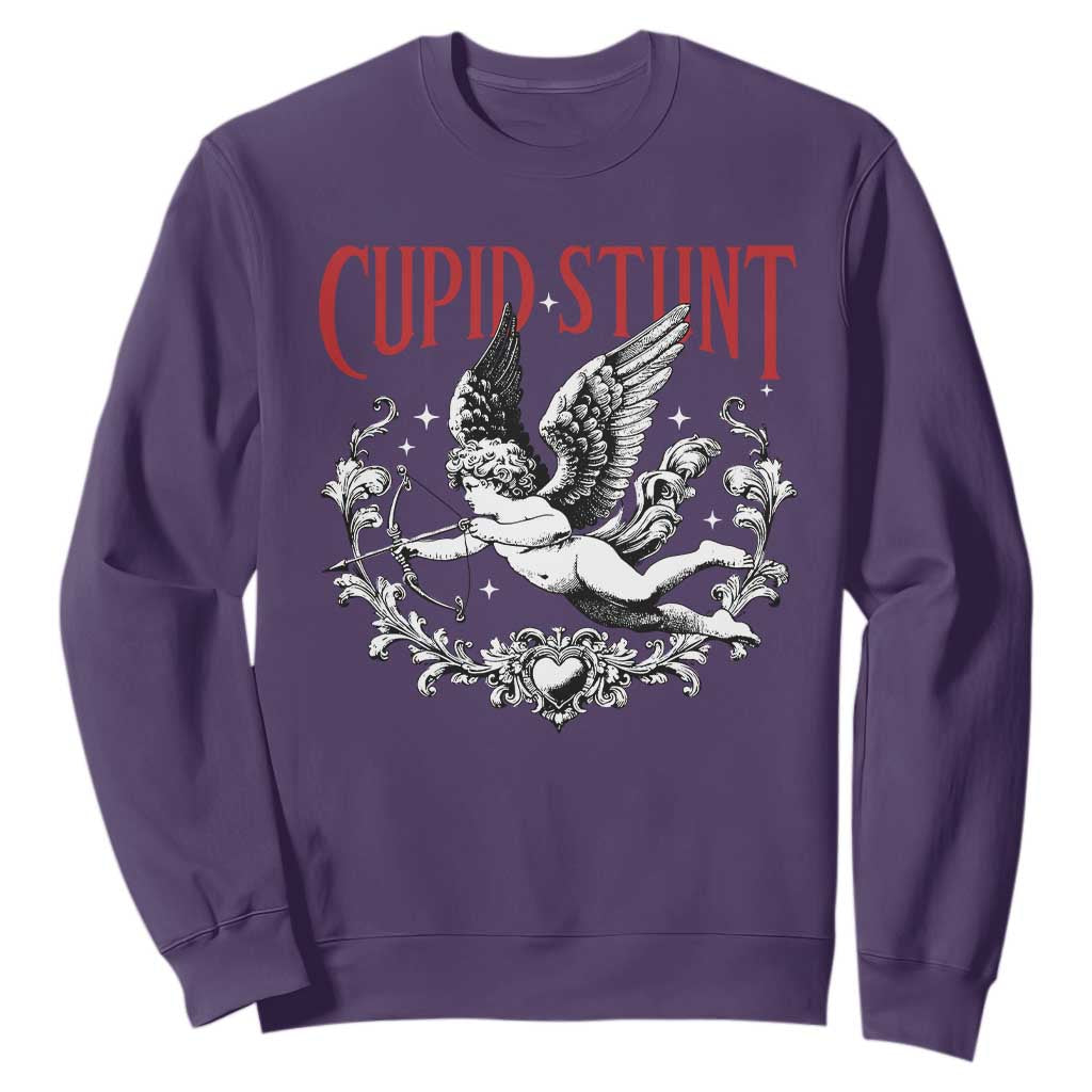 Valentines Party Retro Cupid Stunt Sweatshirt TS10 Purple Print Your Wear