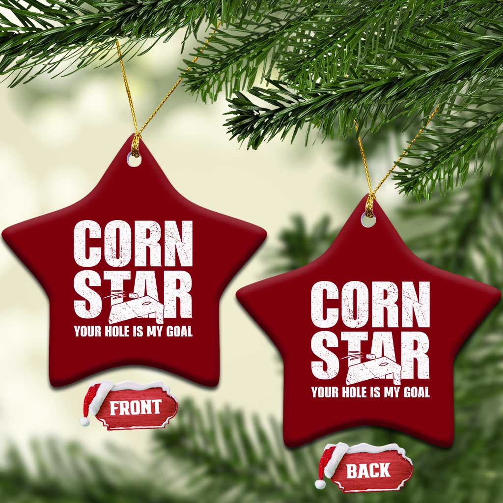 Inappropriate Cornhole Ceramic Ornament Funny Adult Humor Cornstar Your Hole Is My Goal TS10 Print Your Wear