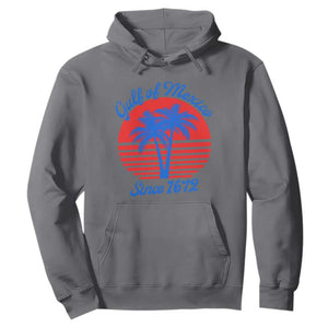 Gulf of Mexico Hoodie Since 1672 Retro Vintage 70s TS10 Charcoal Print Your Wear