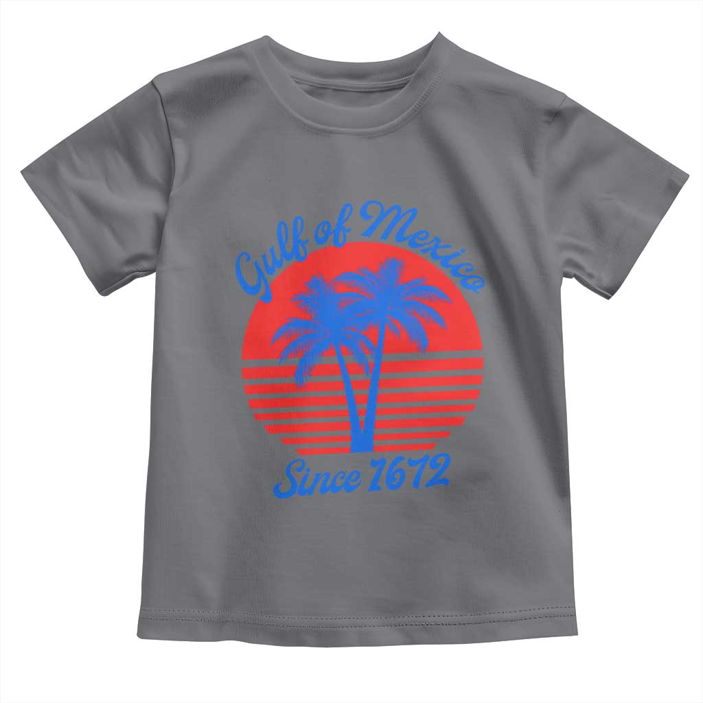 Gulf of Mexico Toddler T Shirt Since 1672 Retro Vintage 70s TS10 Charcoal Print Your Wear