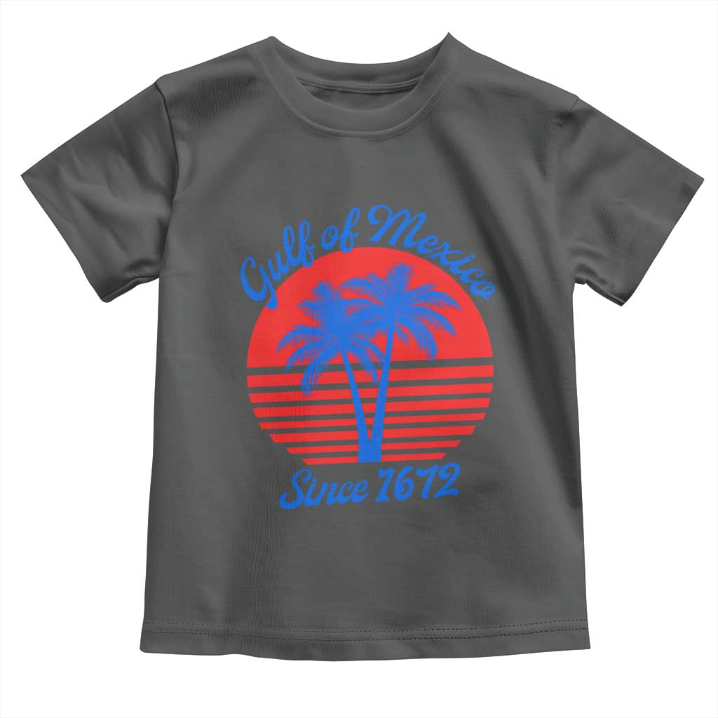 Gulf of Mexico Toddler T Shirt Since 1672 Retro Vintage 70s TS10 Dark Heather Print Your Wear