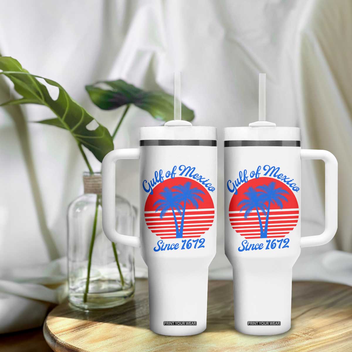 Gulf of Mexico Tumbler With Handle Since 1672 Retro Vintage 70s TS10 Print Your Wear