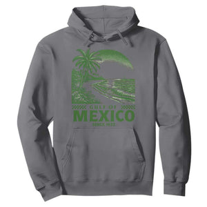 Gulf of Mexico Since 1672 Hoodie Retro Vintage Mexican Beach Forever TS10 Charcoal Print Your Wear