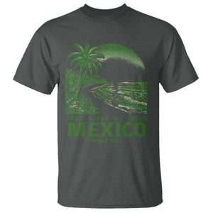 Gulf of Mexico Since 1672 T Shirt Retro Vintage Mexican Beach Forever TS10 Dark Heather Print Your Wear