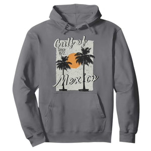 Gulf of Mexico Hoodie Since 1672 Beach Vibes TS10 Charcoal Print Your Wear